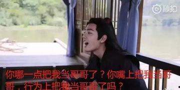 娱乐圈吃瓜的小说