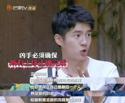 娱乐吃瓜酱高智商,揭秘高智商背后的娱乐智慧